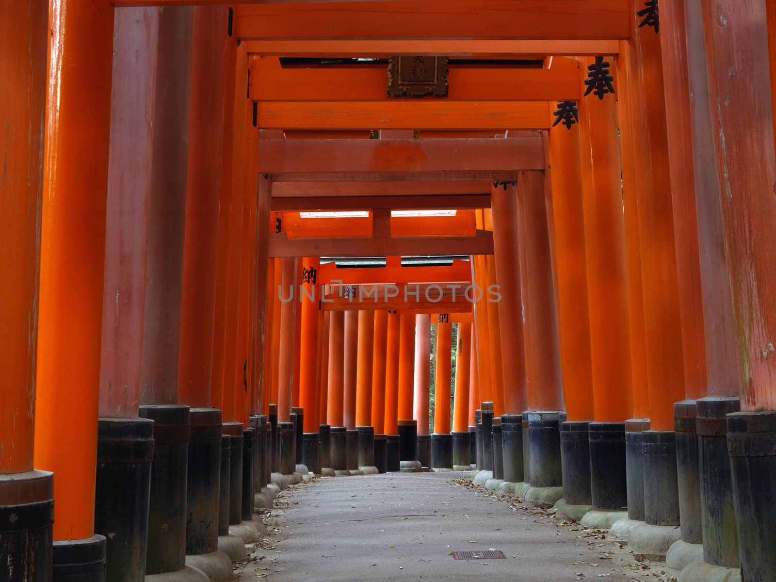 Path under the torii gate of Fushimi Inari Shrine