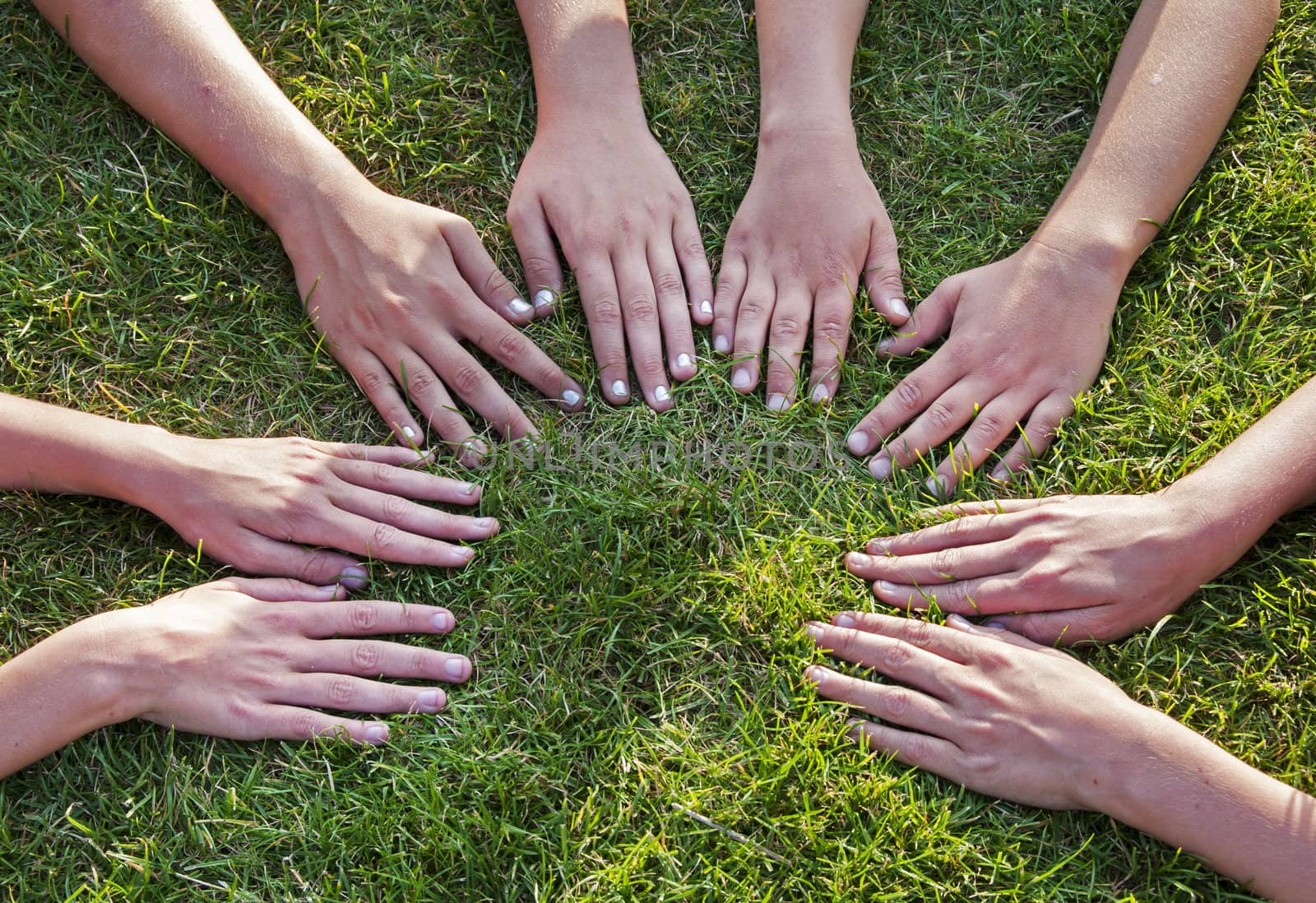 all hands together on the grass  as a team 