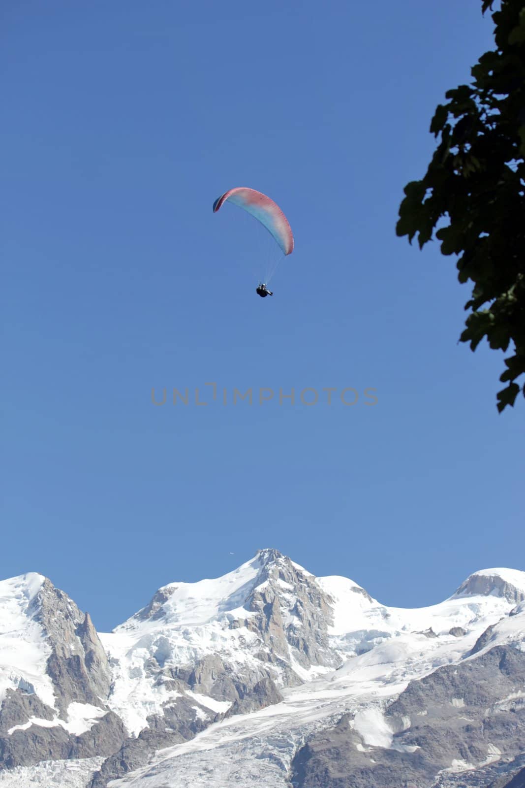 Paraglider flying upon the snowy Aps mountain by a beautiful summer day
