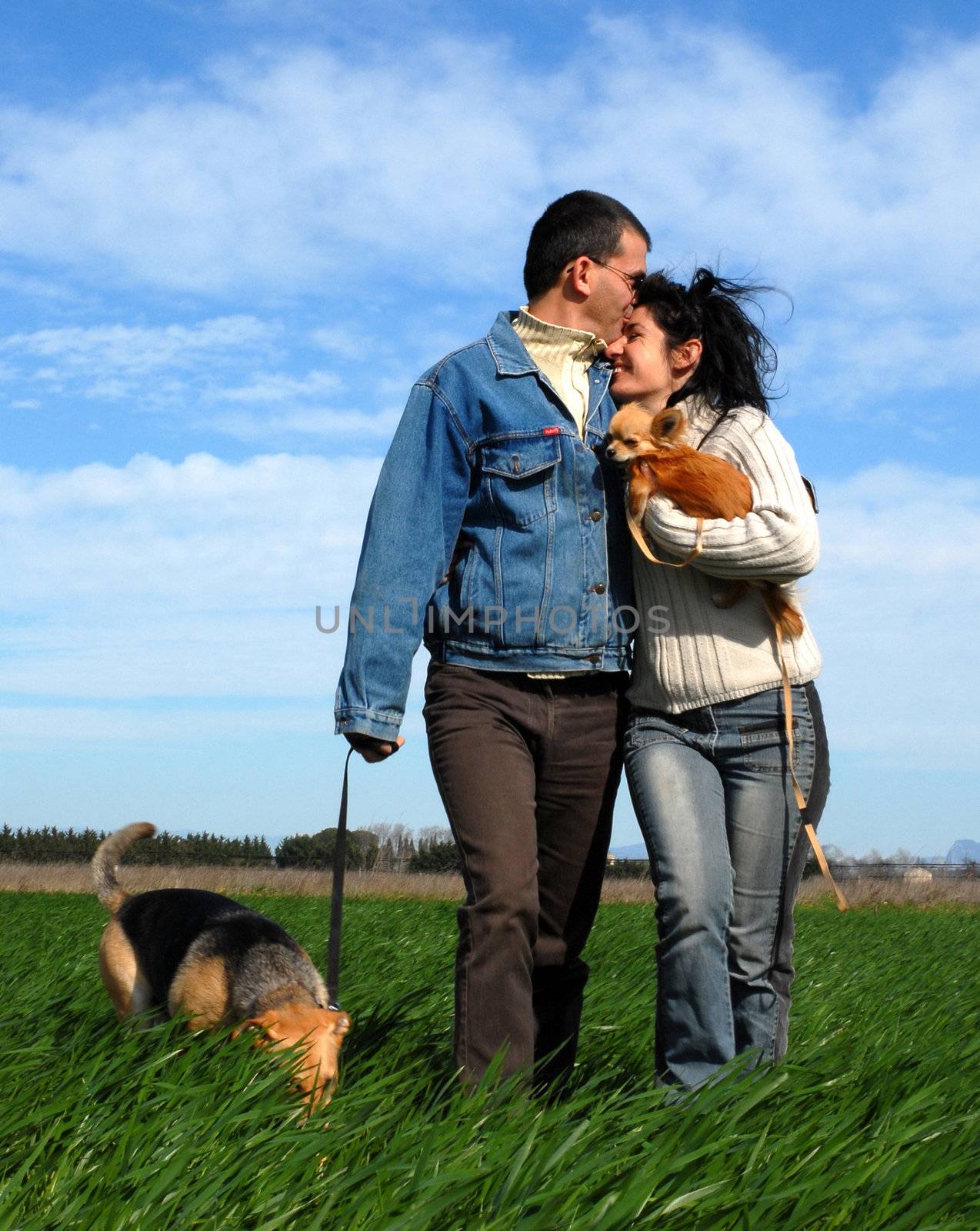 two lovers and their two dogs walking in a field