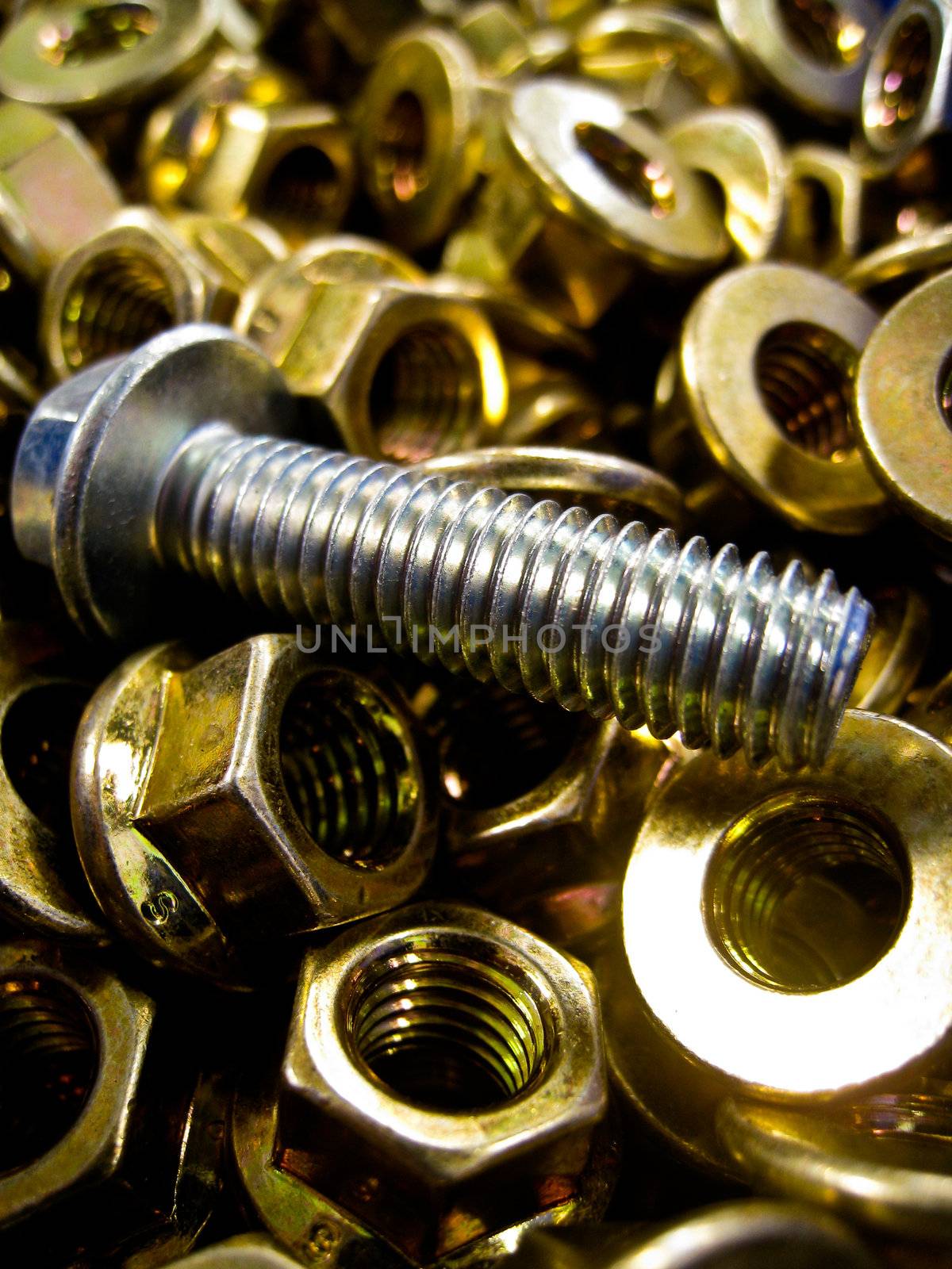 A bolt in lots of brass nuts by gjeerawut