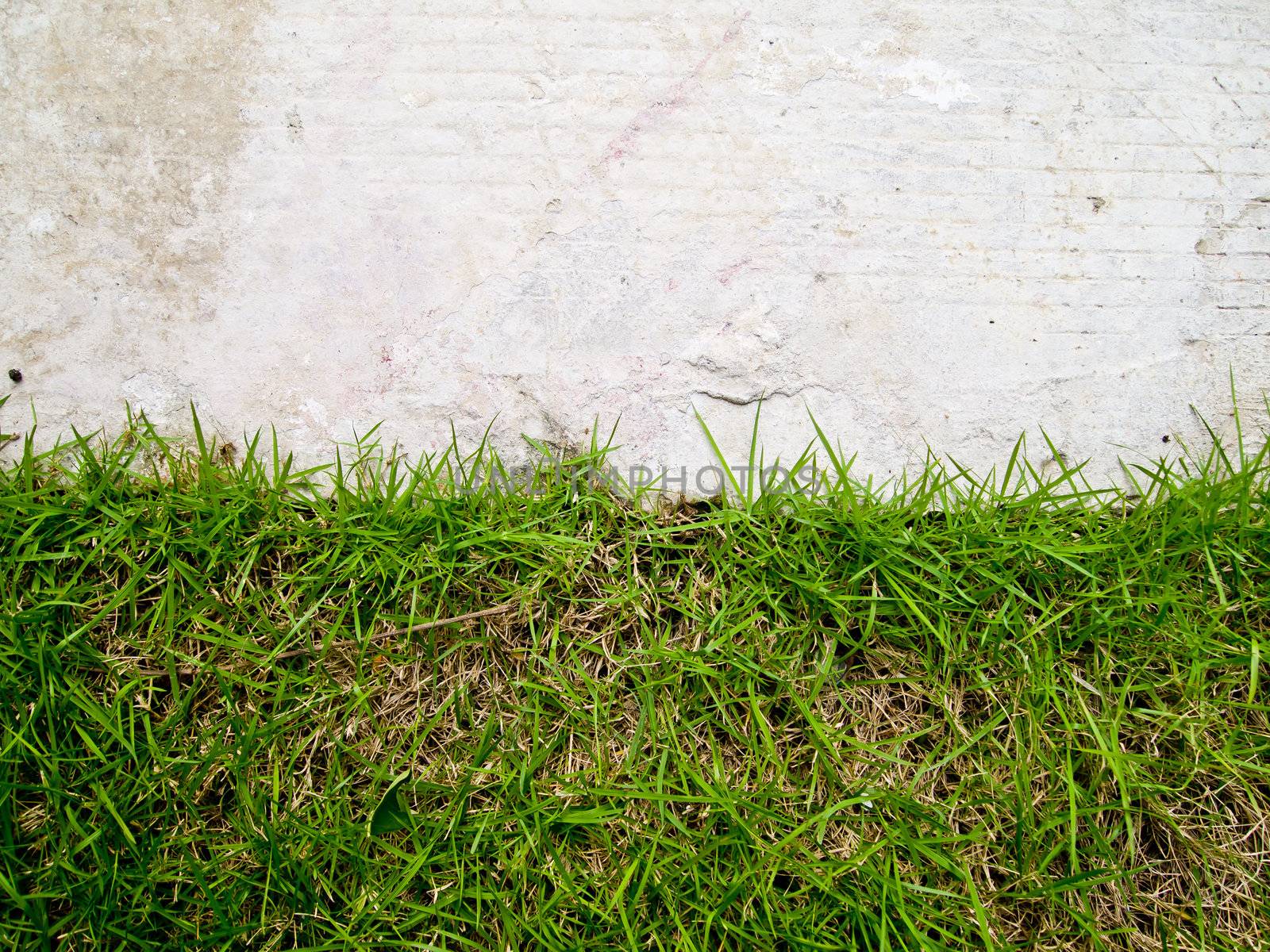 Grass and concrete by gjeerawut