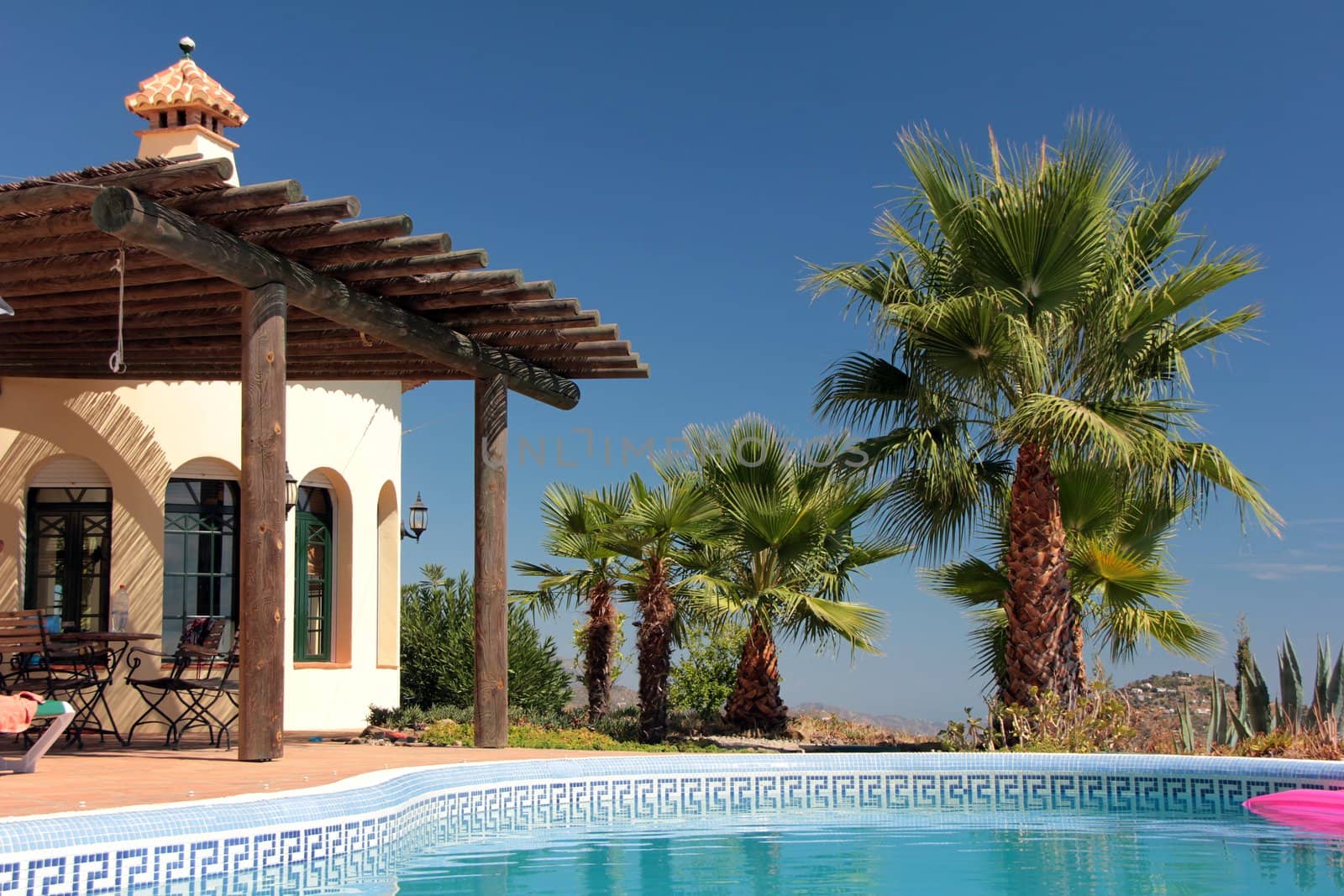 Tropical Scene with swimming pool and nice palm