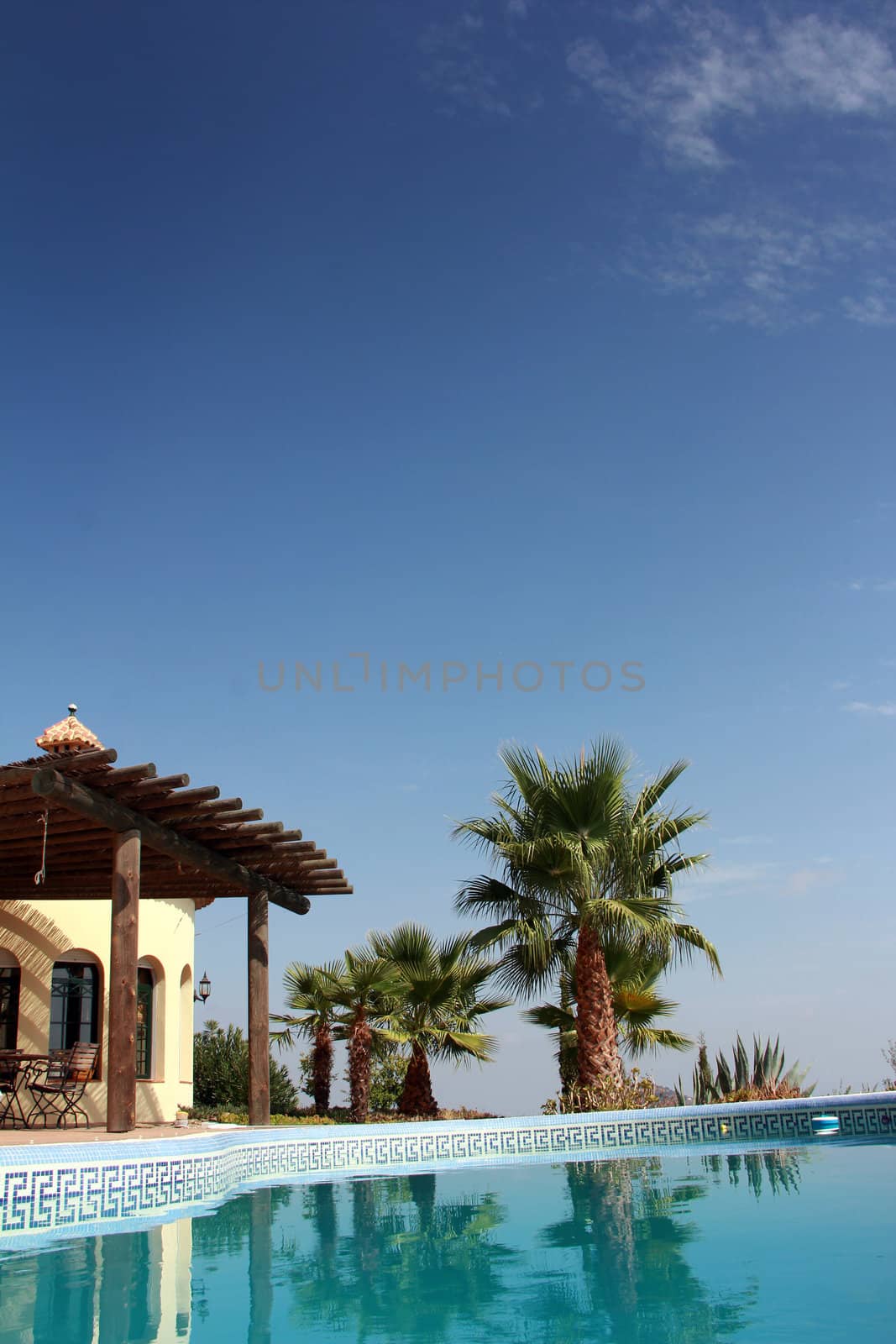 Tropical Scene with swimming pool and nice palm