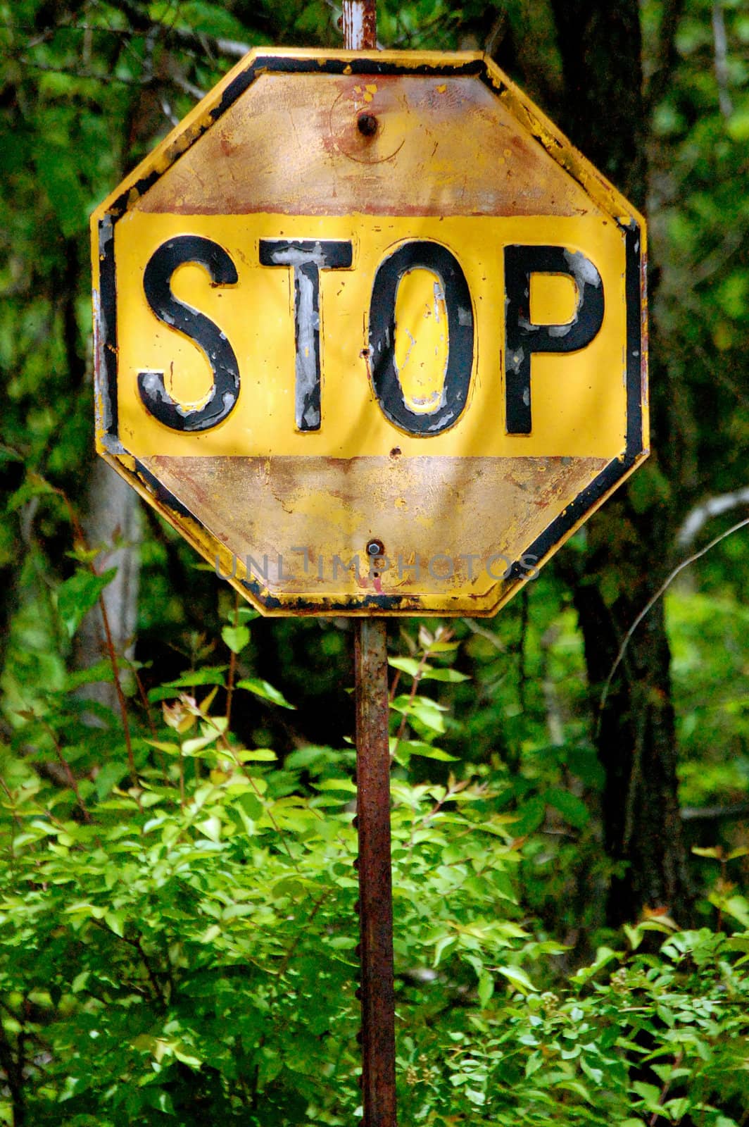Yellow Stop Sign Up Close-1 by RefocusPhoto
