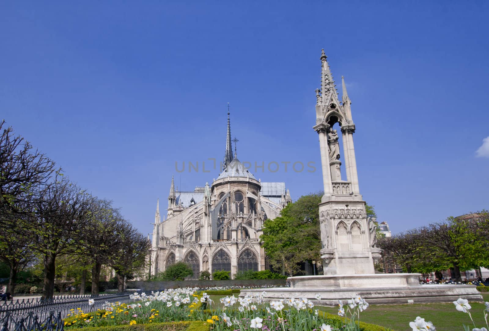 Cathedral Notre Dame Reims Champagne, Paris France