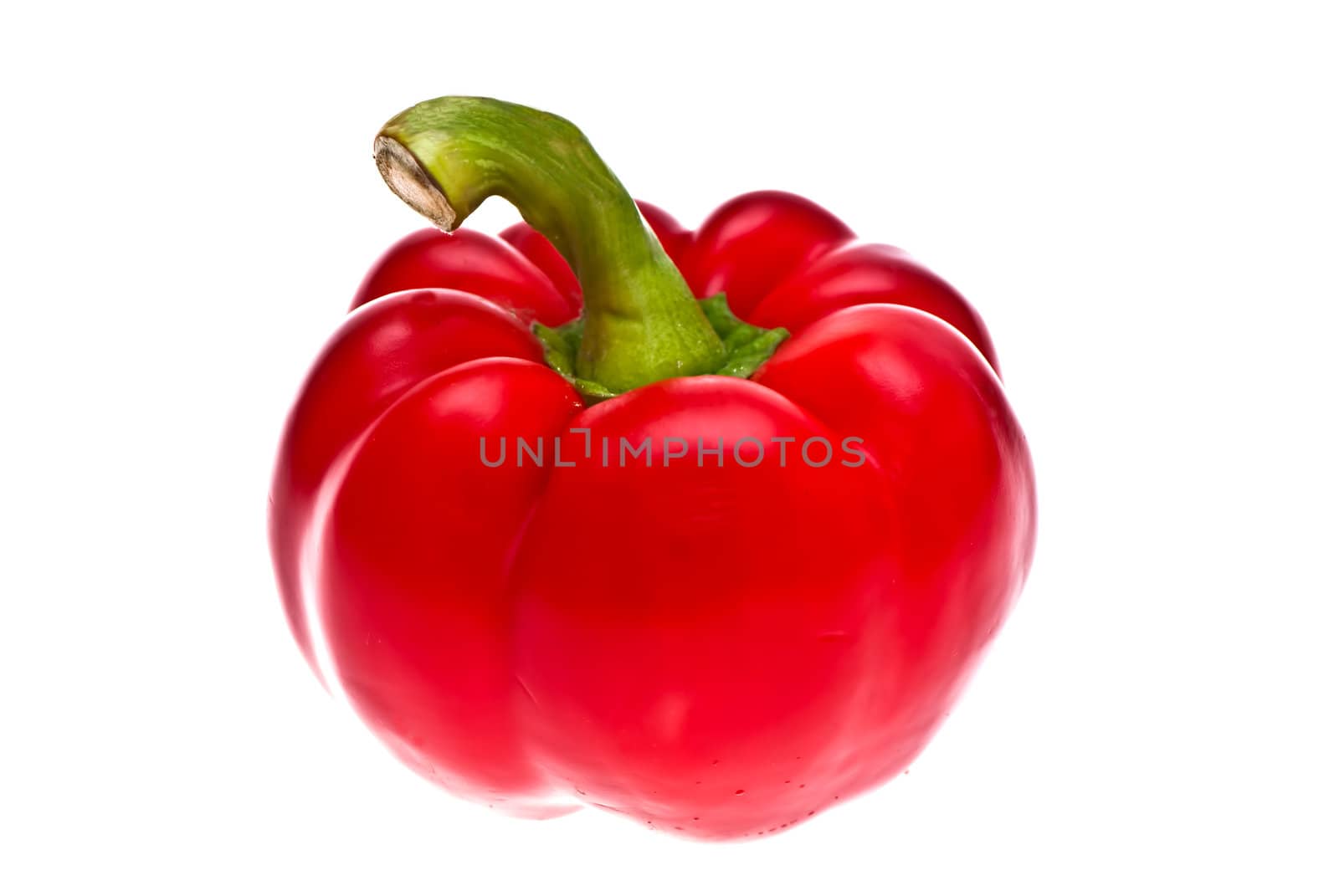 Red pepper shot in the studio on a white background.