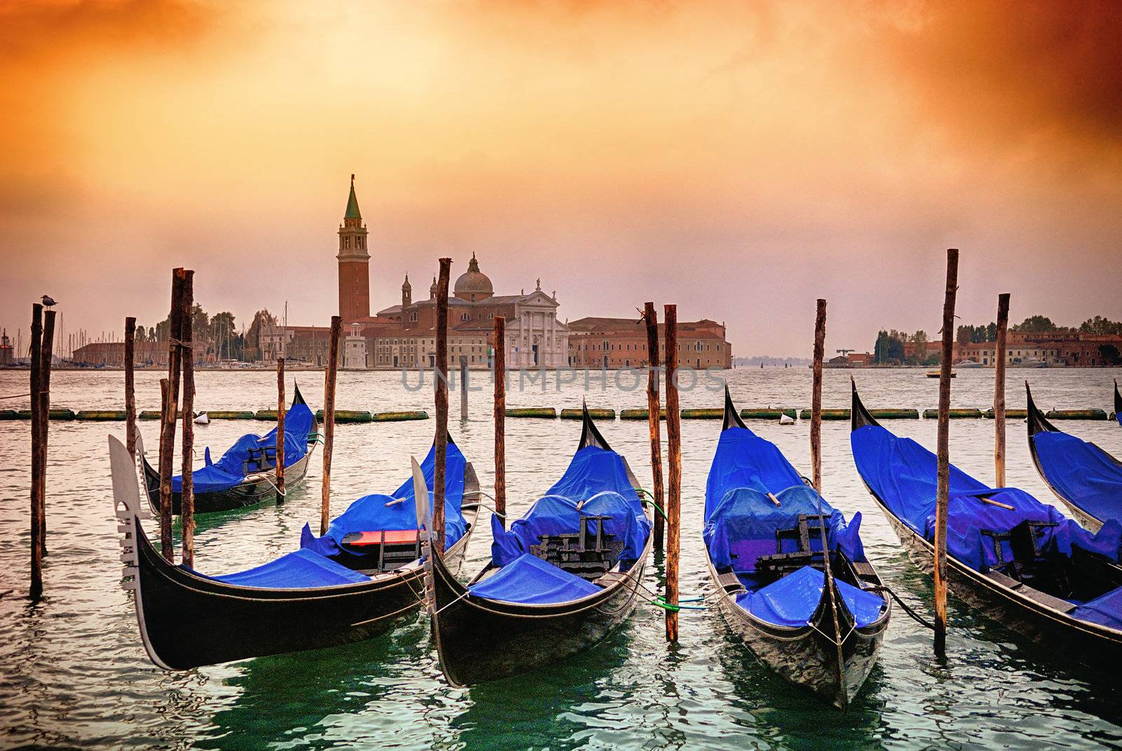 Gondolas moored by Saint Mark square with San Giorgio di Maggiore church in the background - Venice, Venezia, Italy, Europe 