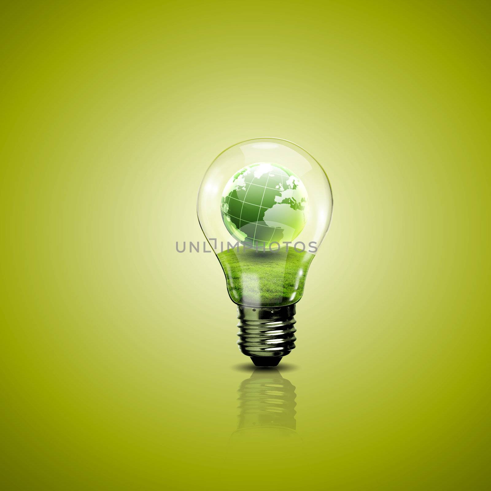 Electric light bulb and a plant inside it by sergey_nivens
