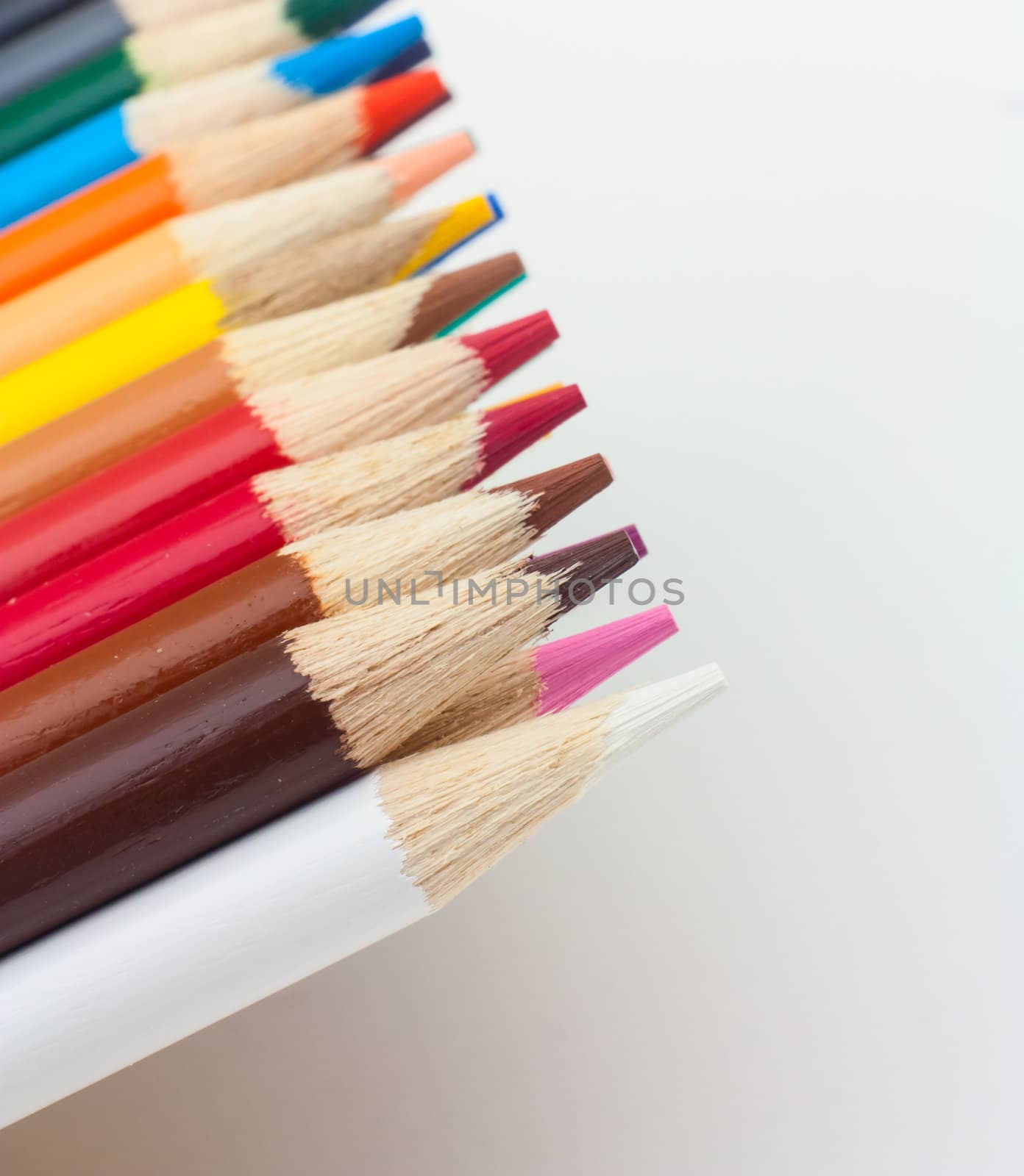 Photo of color pencils isolated in white background.