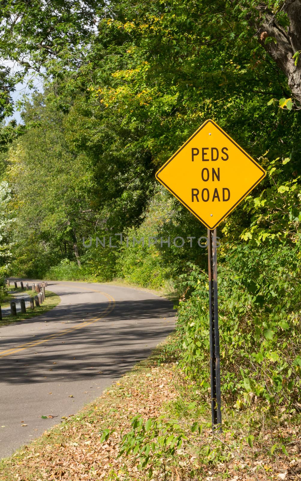 Pedestrian Road Safety Sign by wolterk