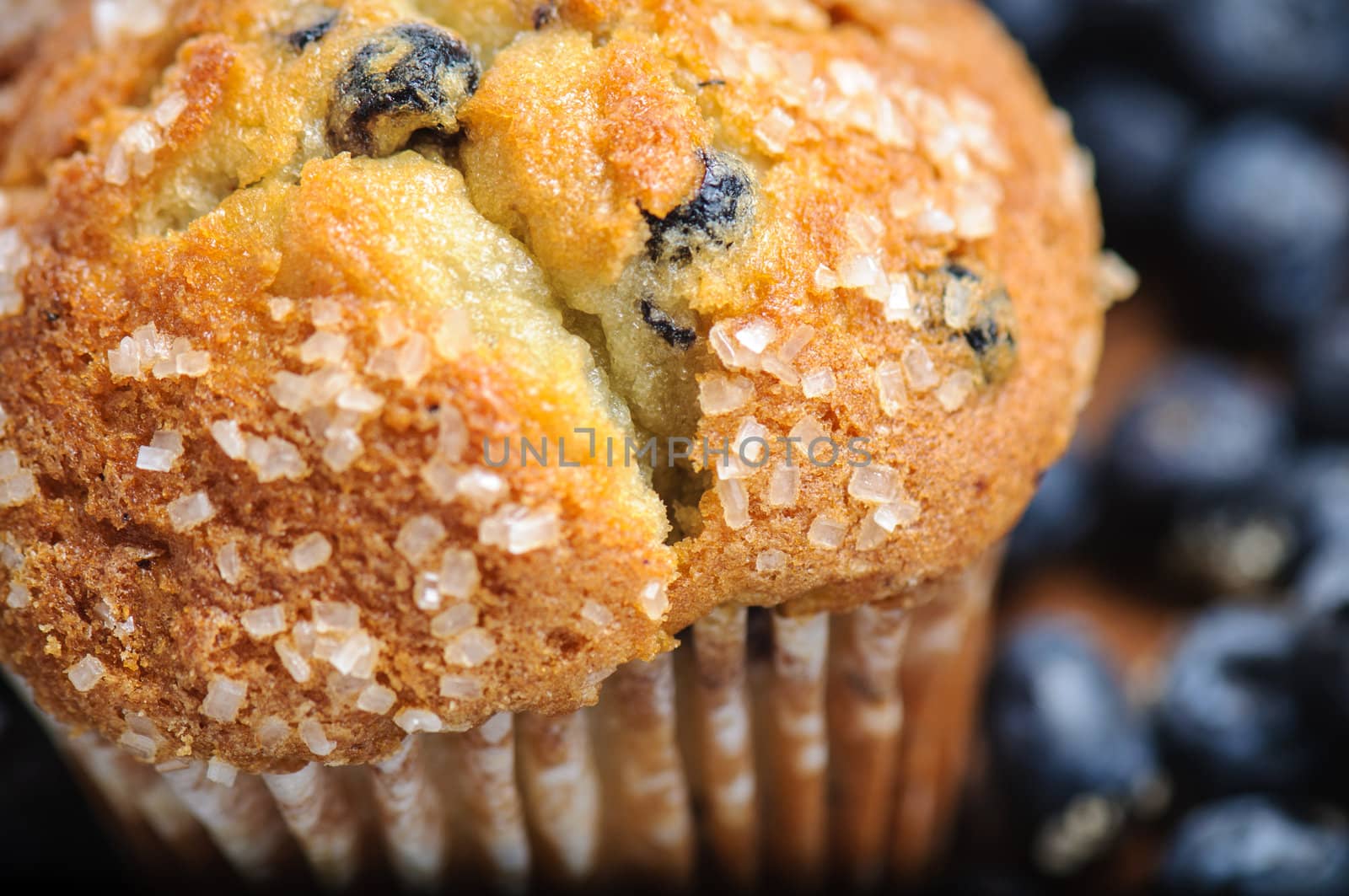 Blueberry Muffin with Blueberries in Background