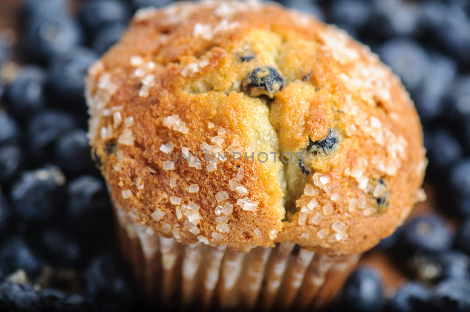 Blueberry Muffin with Blueberries in Background