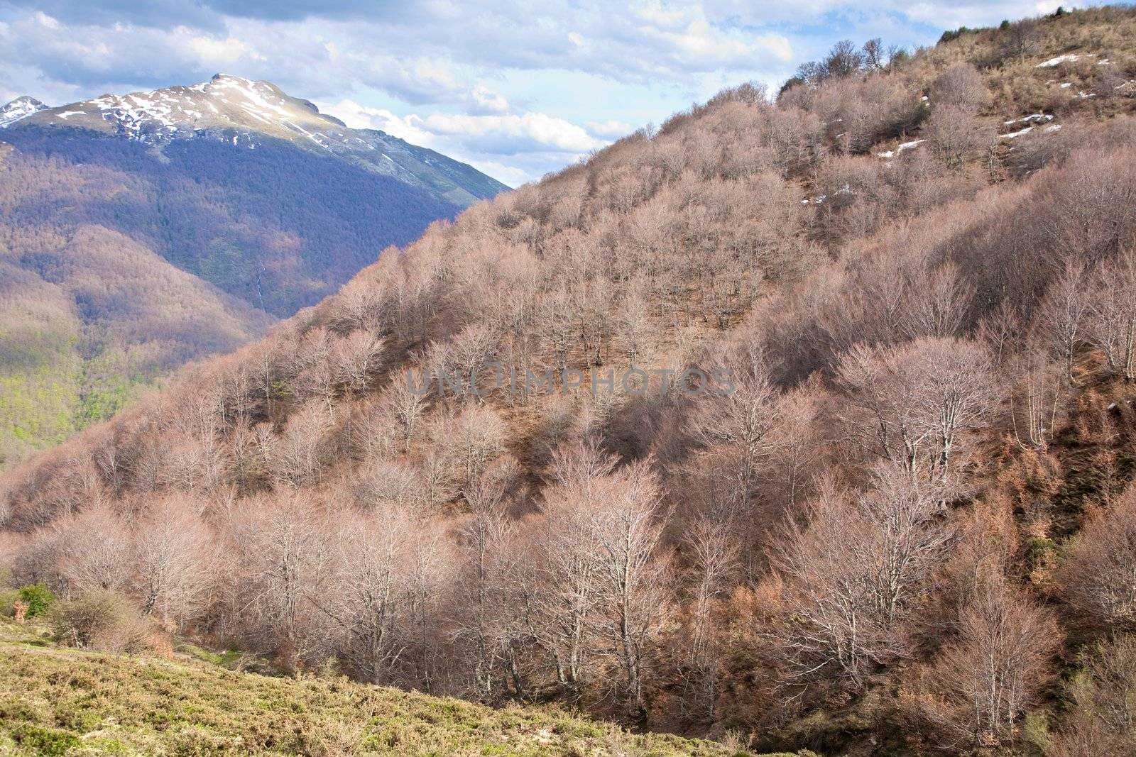 landscape at Picos de Europa mountains in Asturias
