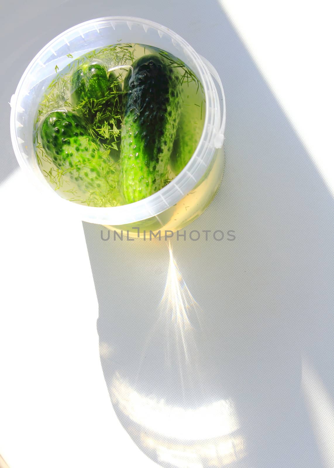 Beautiful, delicious cucumber in brine on a light background