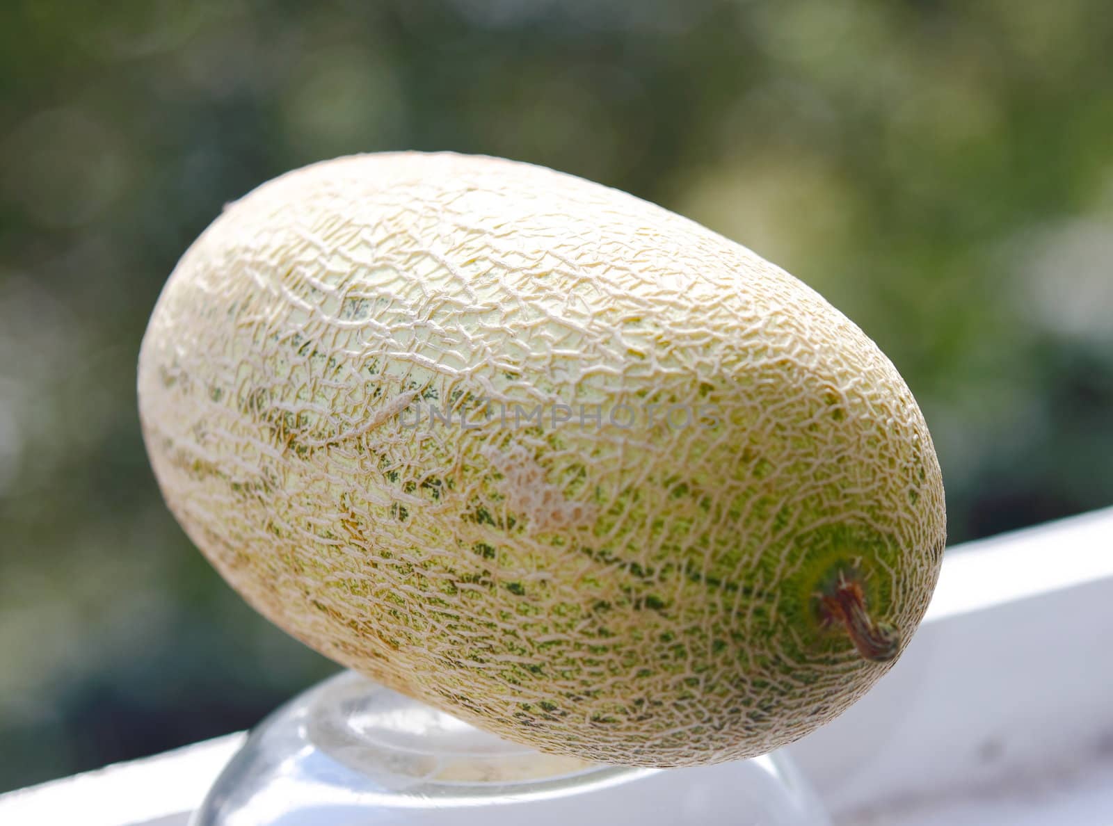 Beautiful, tasty melon