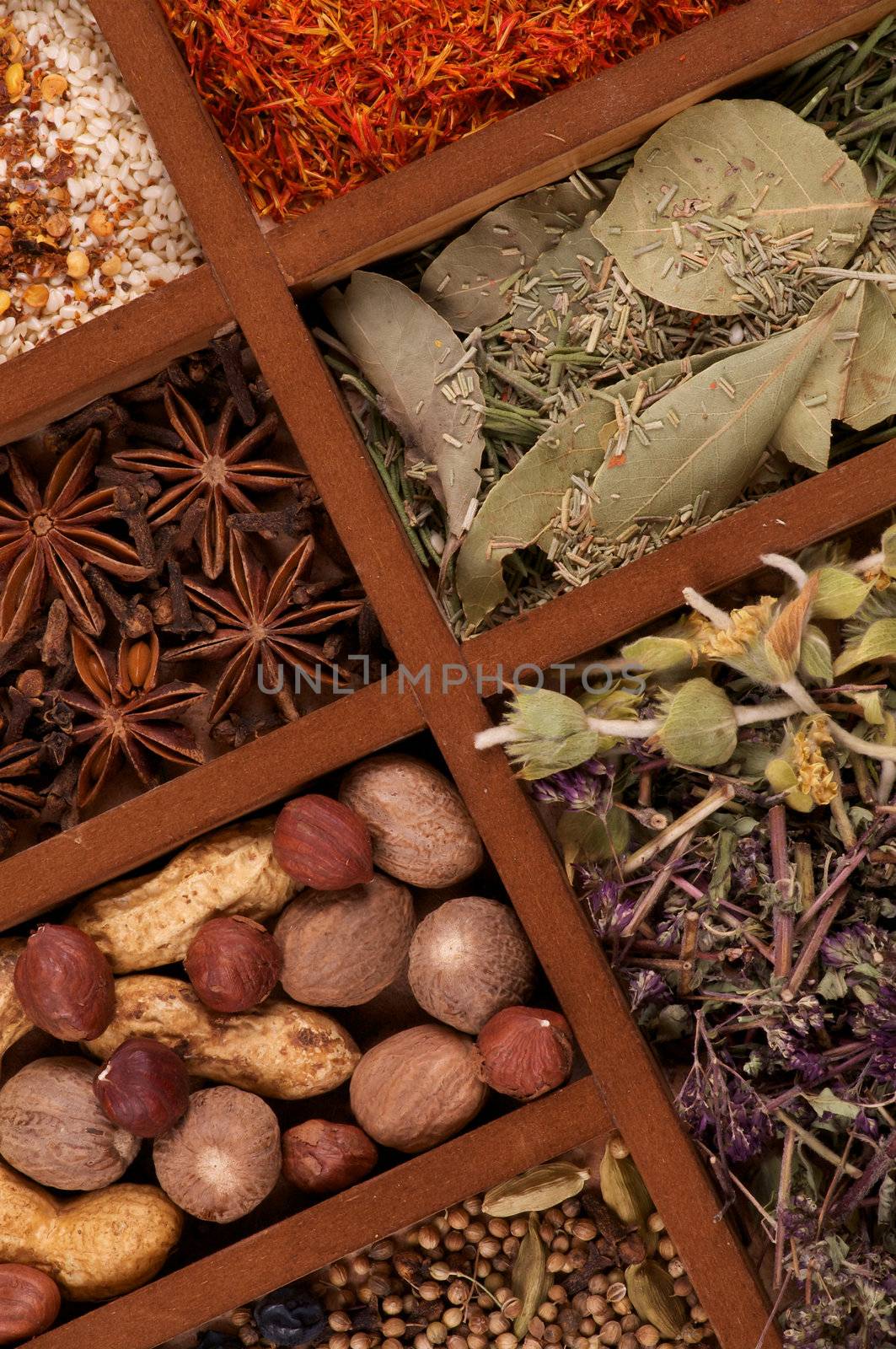 Wooden Box with Mixed Spicy Spices, Herbs and Dried Leafs close up