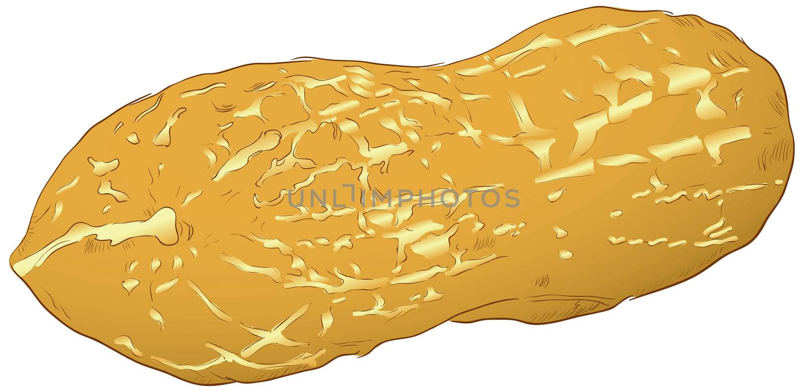 Figure peanut, nut popular in the food industry. vector illustration.