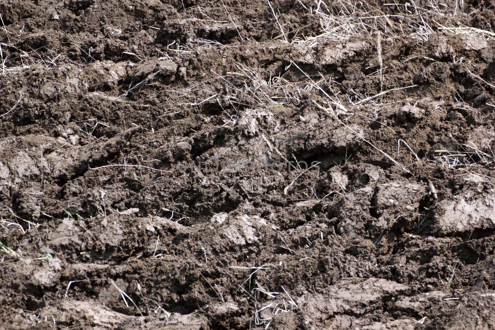 textured plowed land by taviphoto