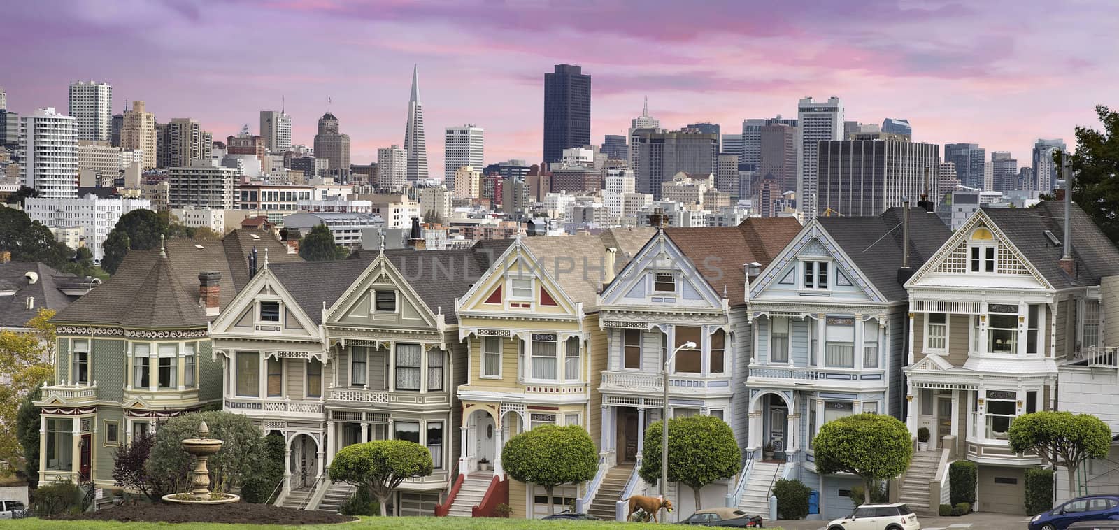 San Francisco City Skyline and the Historic Painted Ladies Houses from Alamo Square Panorama