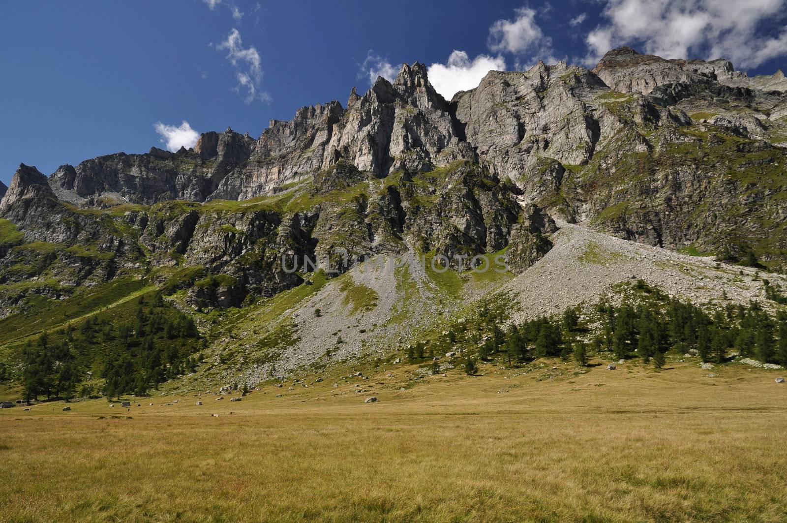 Summertime green mountain landscape in the Alps with peaks, Alpe Buscagna, Devero, Italy.