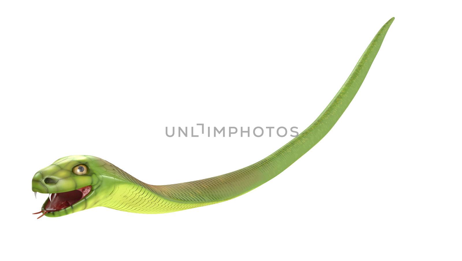 Green cobra flies or falls, isolated on white background