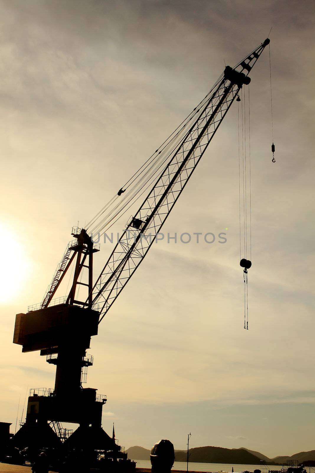 cranes in a harbor by rufous