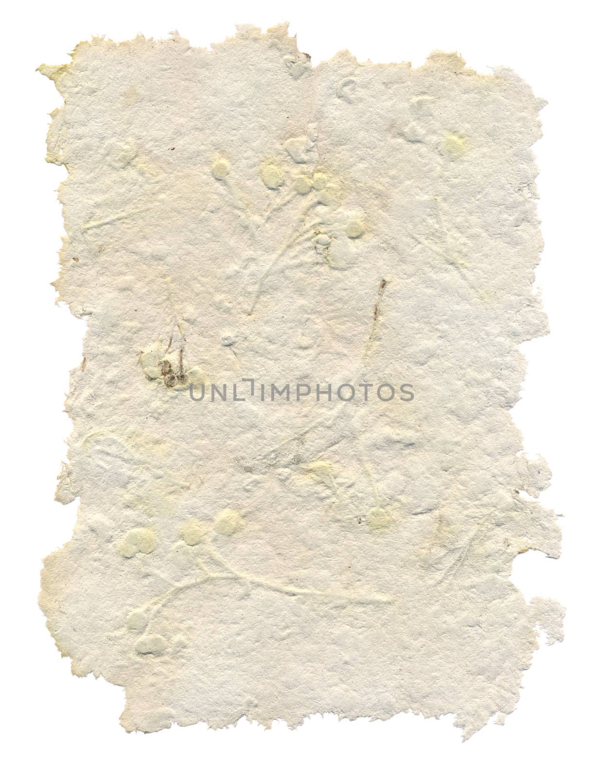 Handmade paper with leaves and flowers inside, isolated on white background