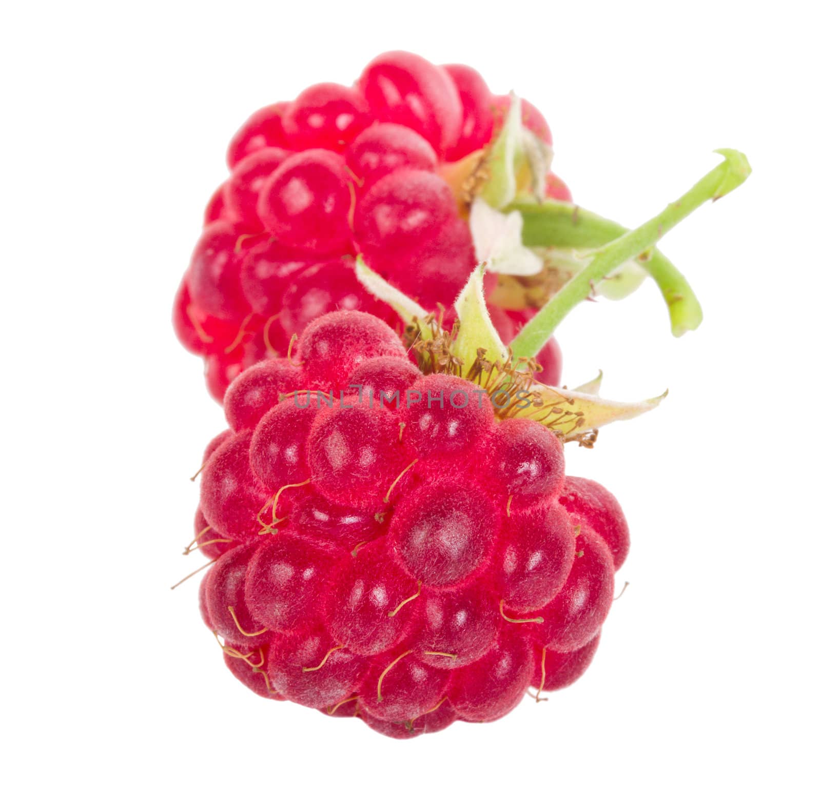 close-up ripe raspberry, isolated on white
