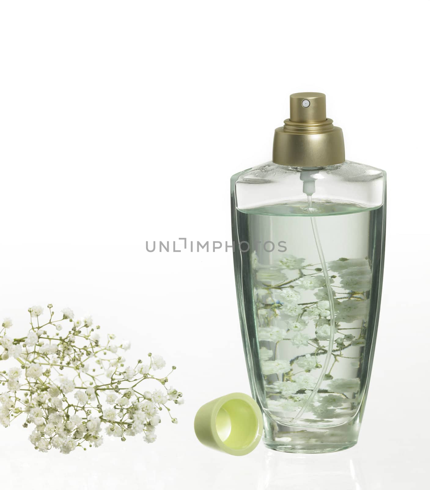 studio photography of a perfume and some floral decoration in light back