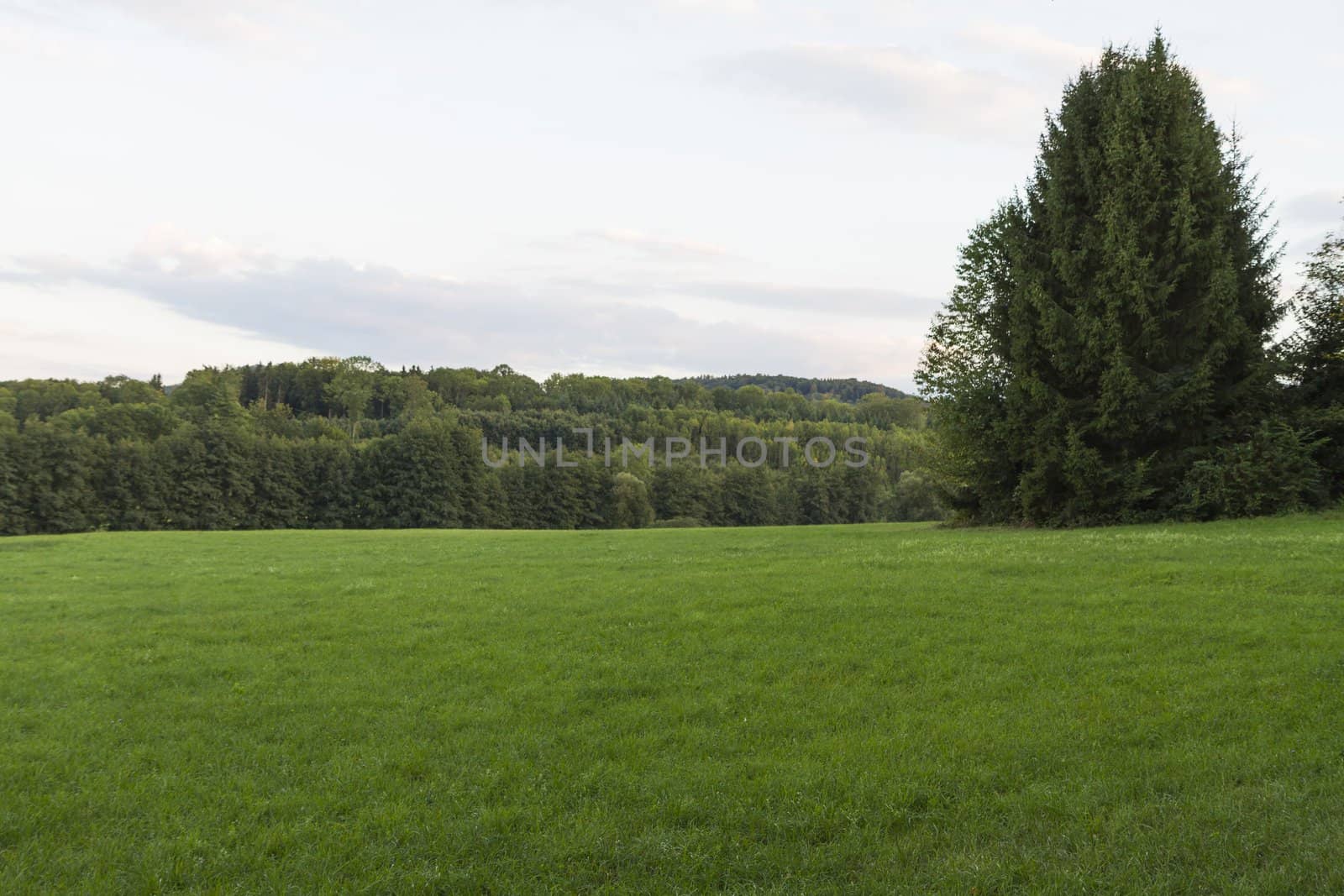 landscape with green grassland in south west germany.
