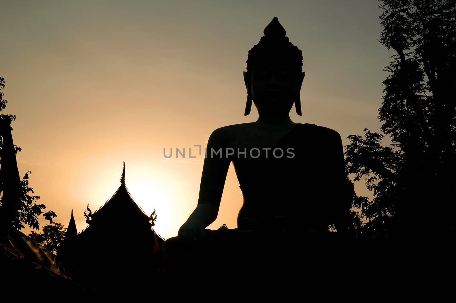 buddha statue