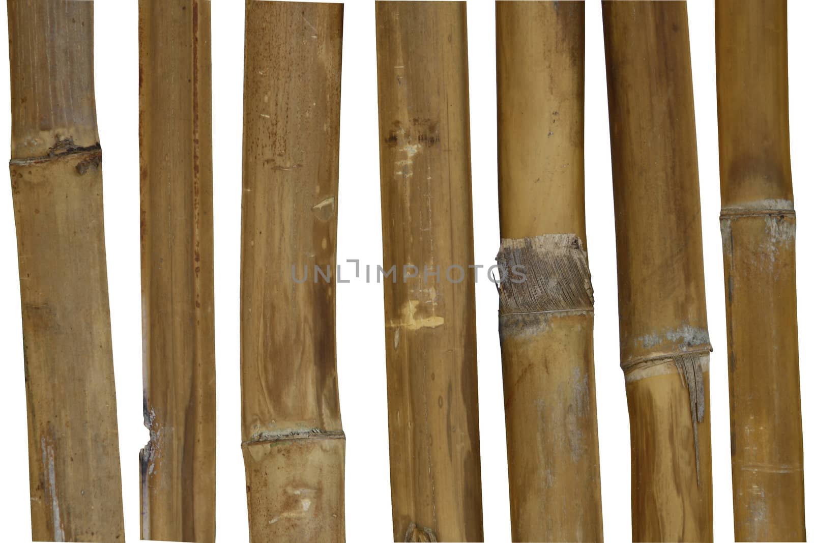 The natural bamboo frame. A white background.