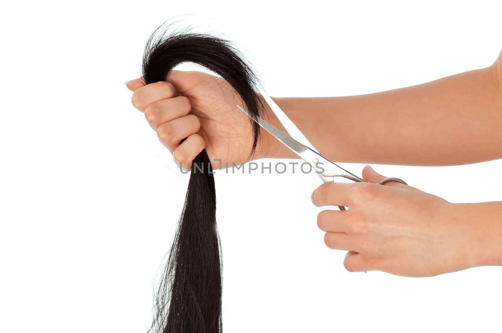 hairdresser cutting young woman with long black hair