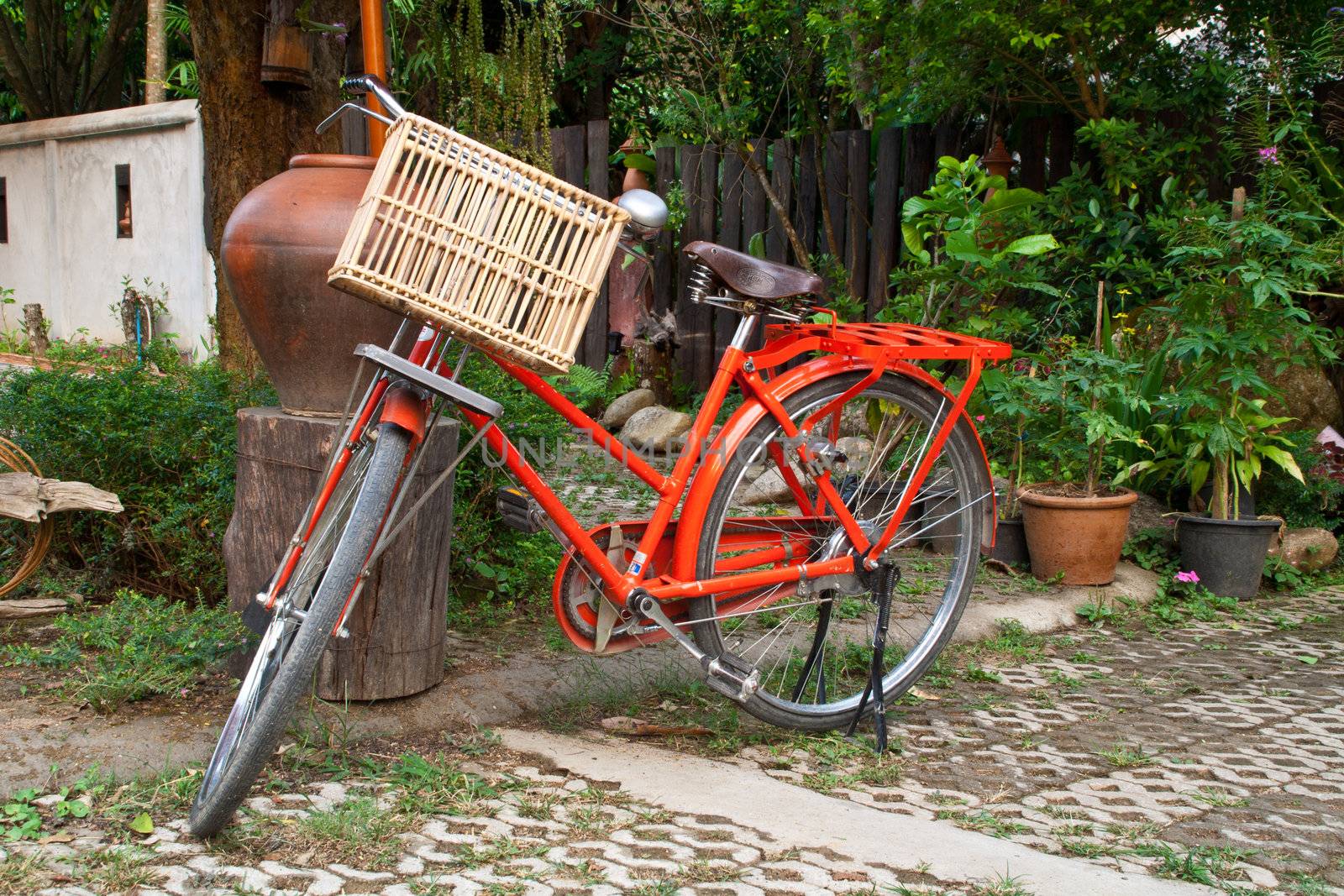 Old red bicycles, basket trees in the garden.