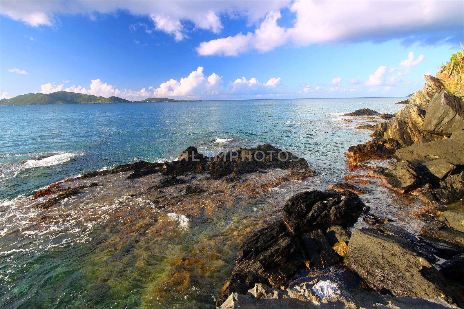 Rocky coastline near Smugglers Cove on the Caribbean island of Tortola.