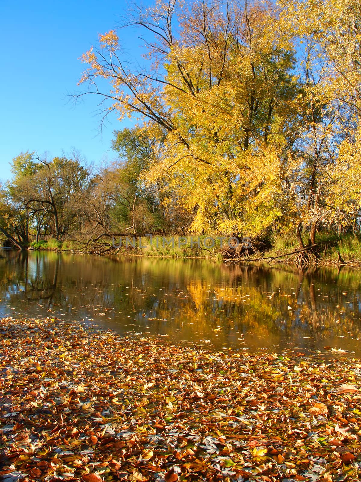 Beautiful autumn colors along the Kishwaukee River at Distillery Conservation Area - Illinois.