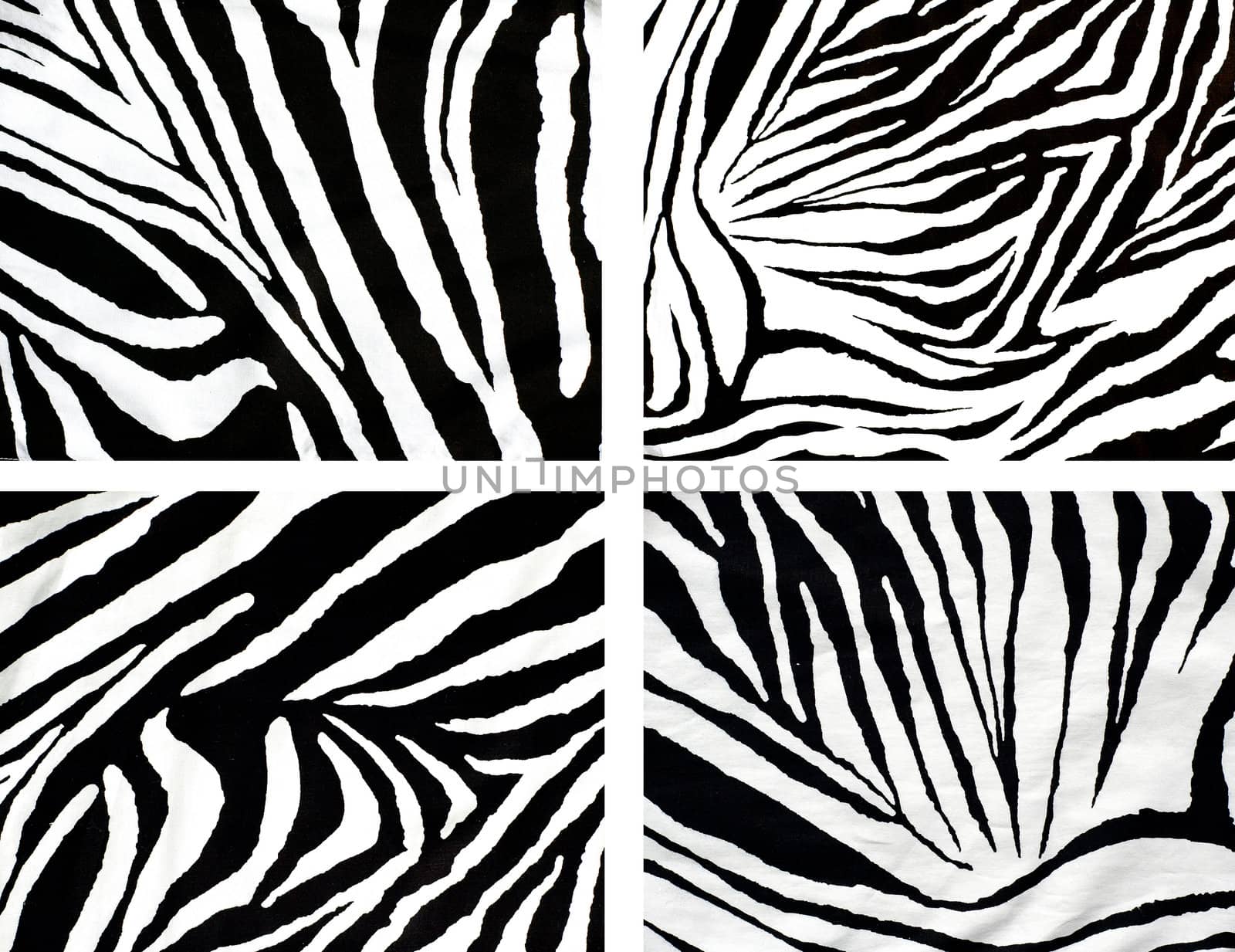 zebra style fabric