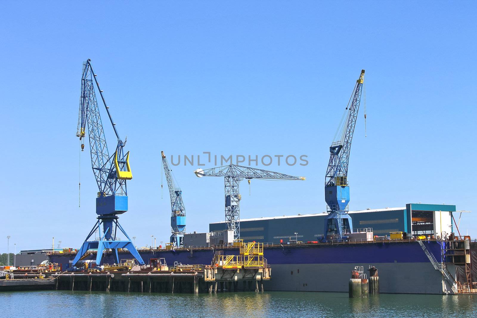 Industrial landscape. Cranes in shipyard