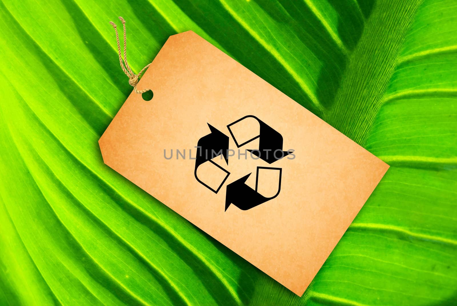 Sale Tag on a green leaf as background