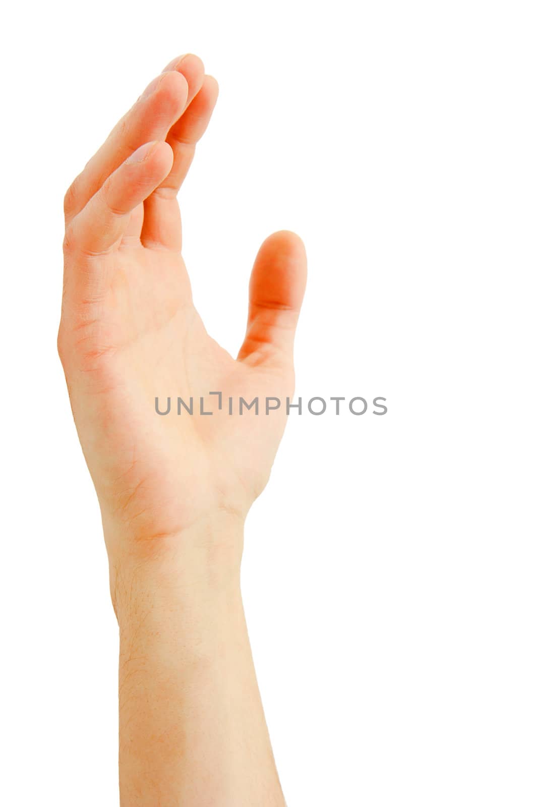 man's hand isolated on a white background