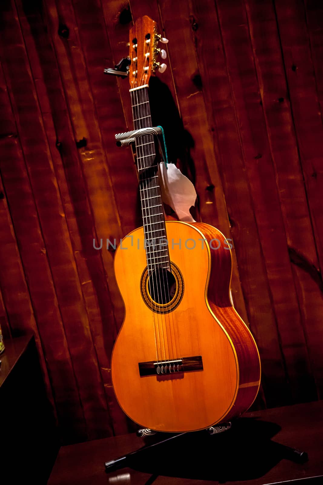 Classic spanish guitar  near of a wood wall