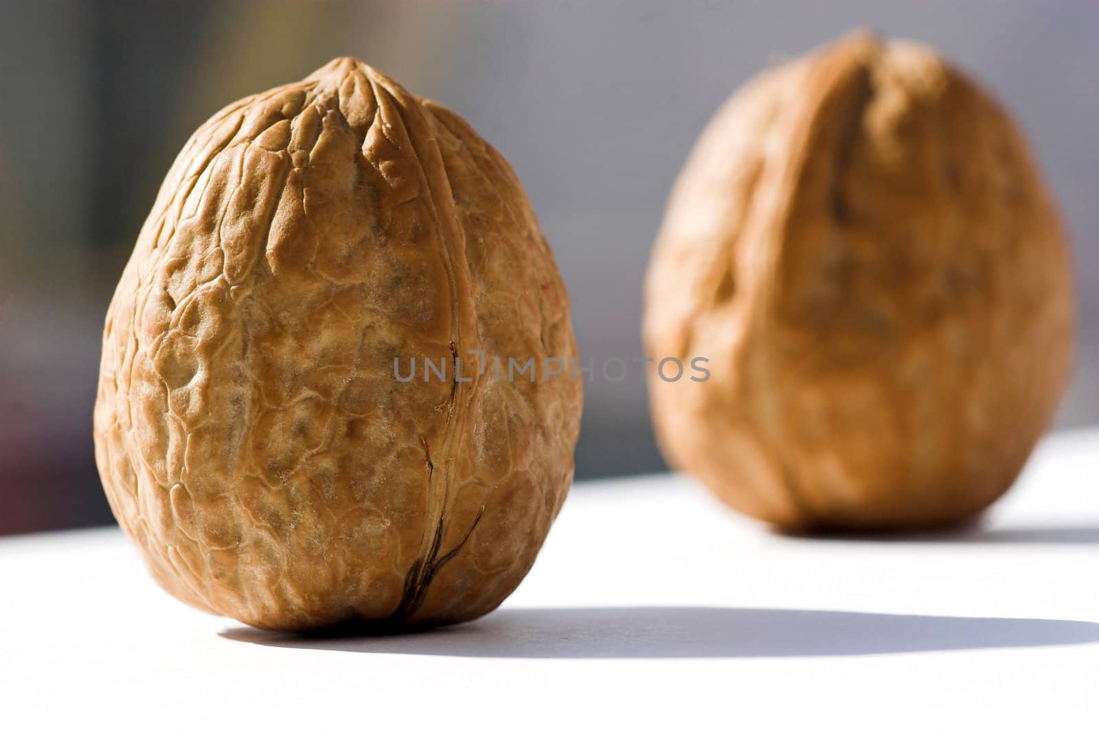 Two walnuts on white table