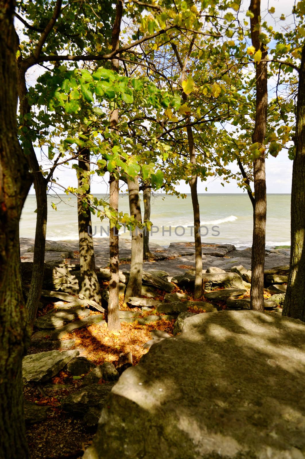 Rocks trees and water background by RefocusPhoto