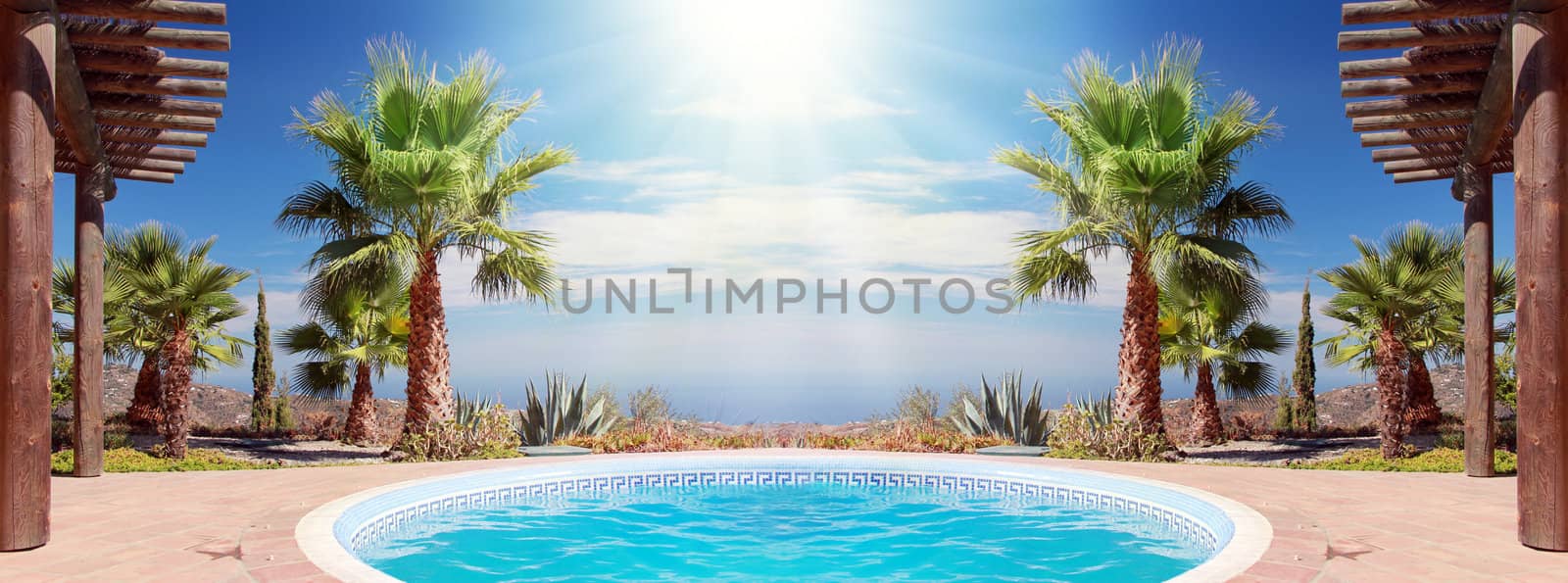 Tropical Scene with swimming pool and nice palm