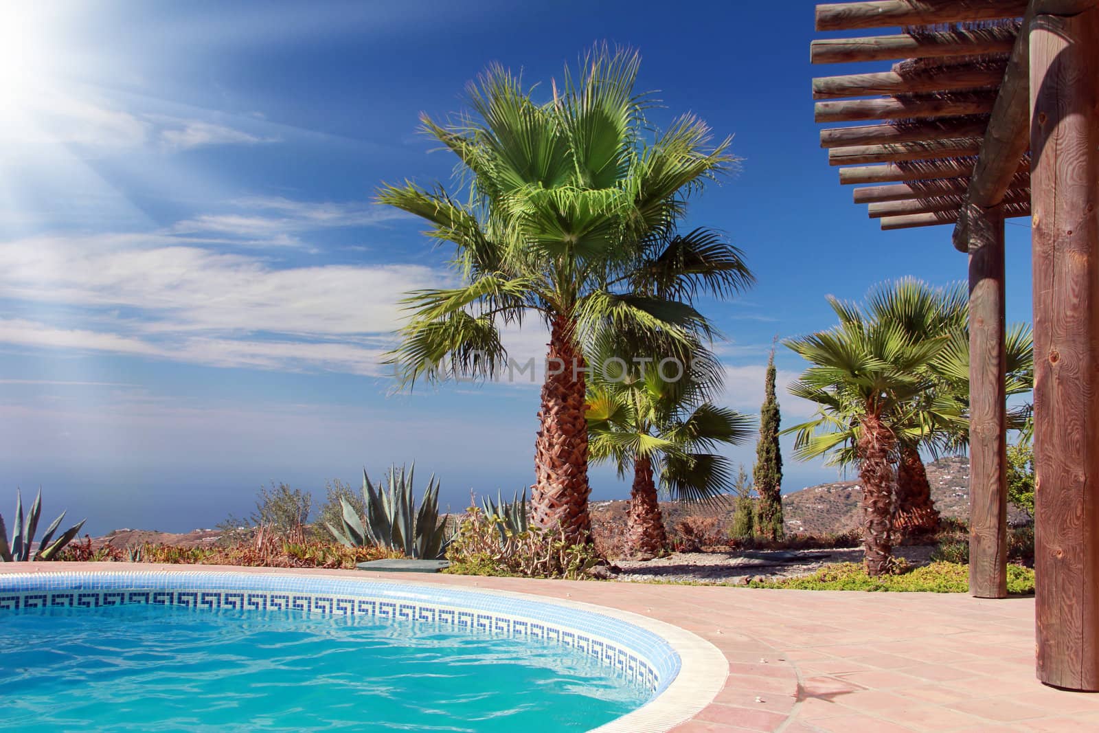 Tropical Scene with swimming pool and nice palm