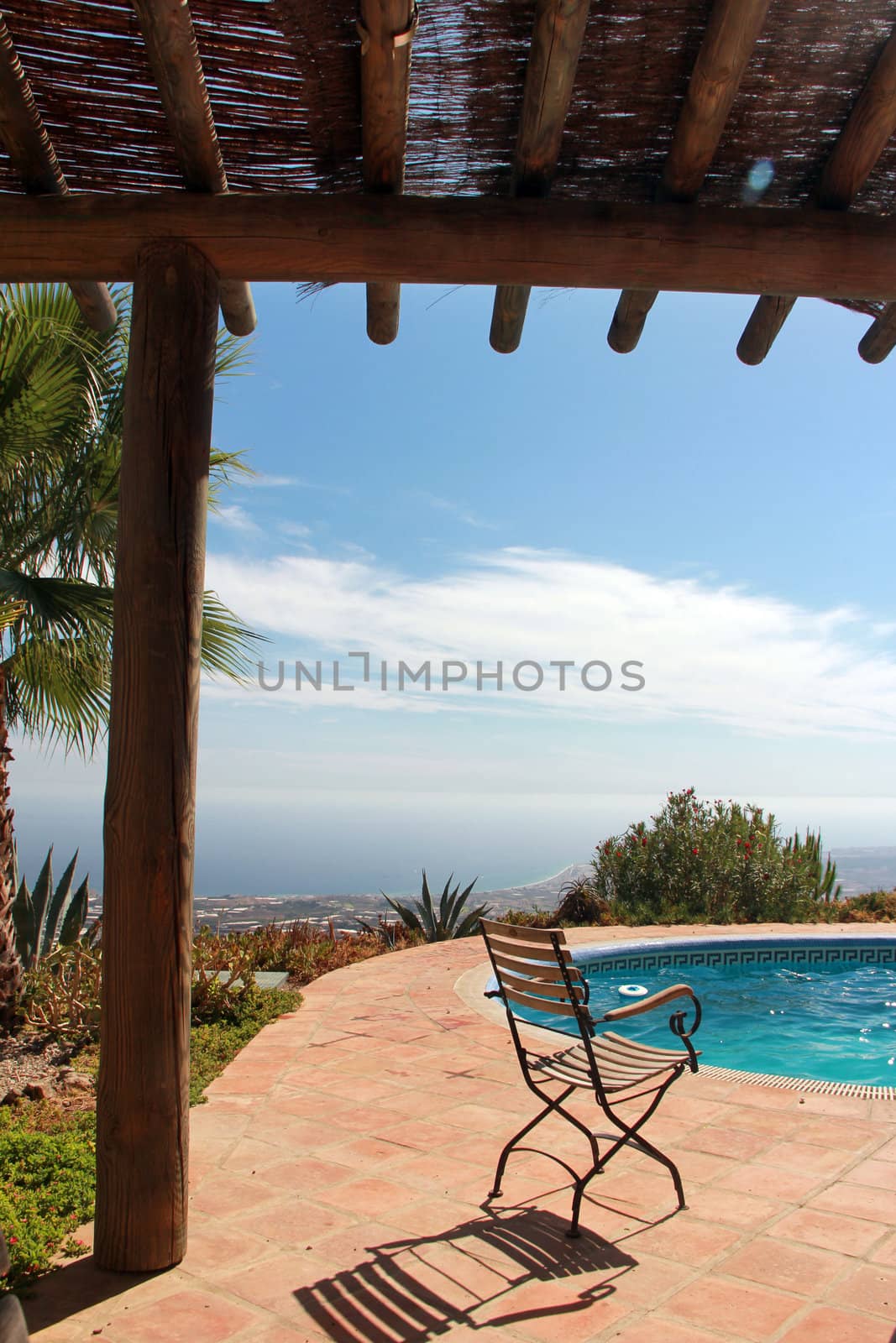 Tropical Scene with swimming pool and nice palm