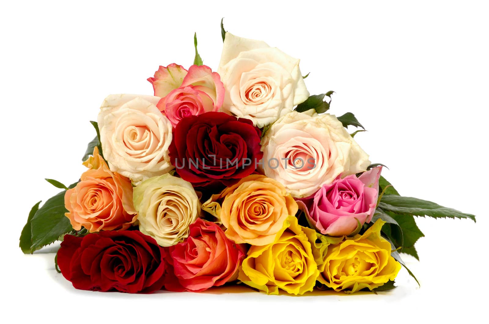 Rose bouquet by cfoto