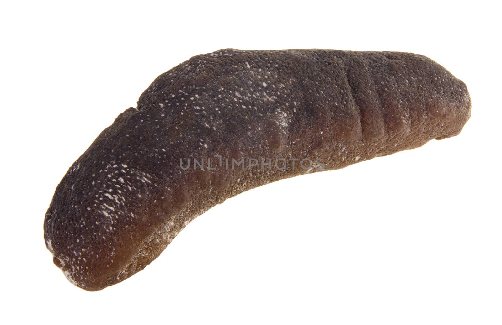 sea cucumber. close up of dried sea cucumber