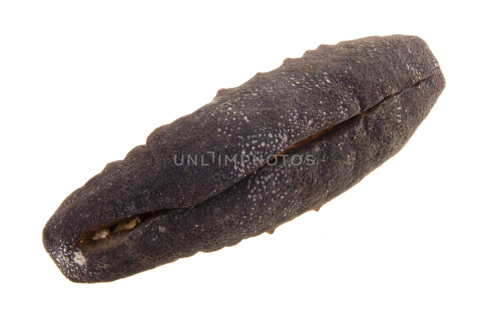 sea cucumber. close up of dried sea cucumber